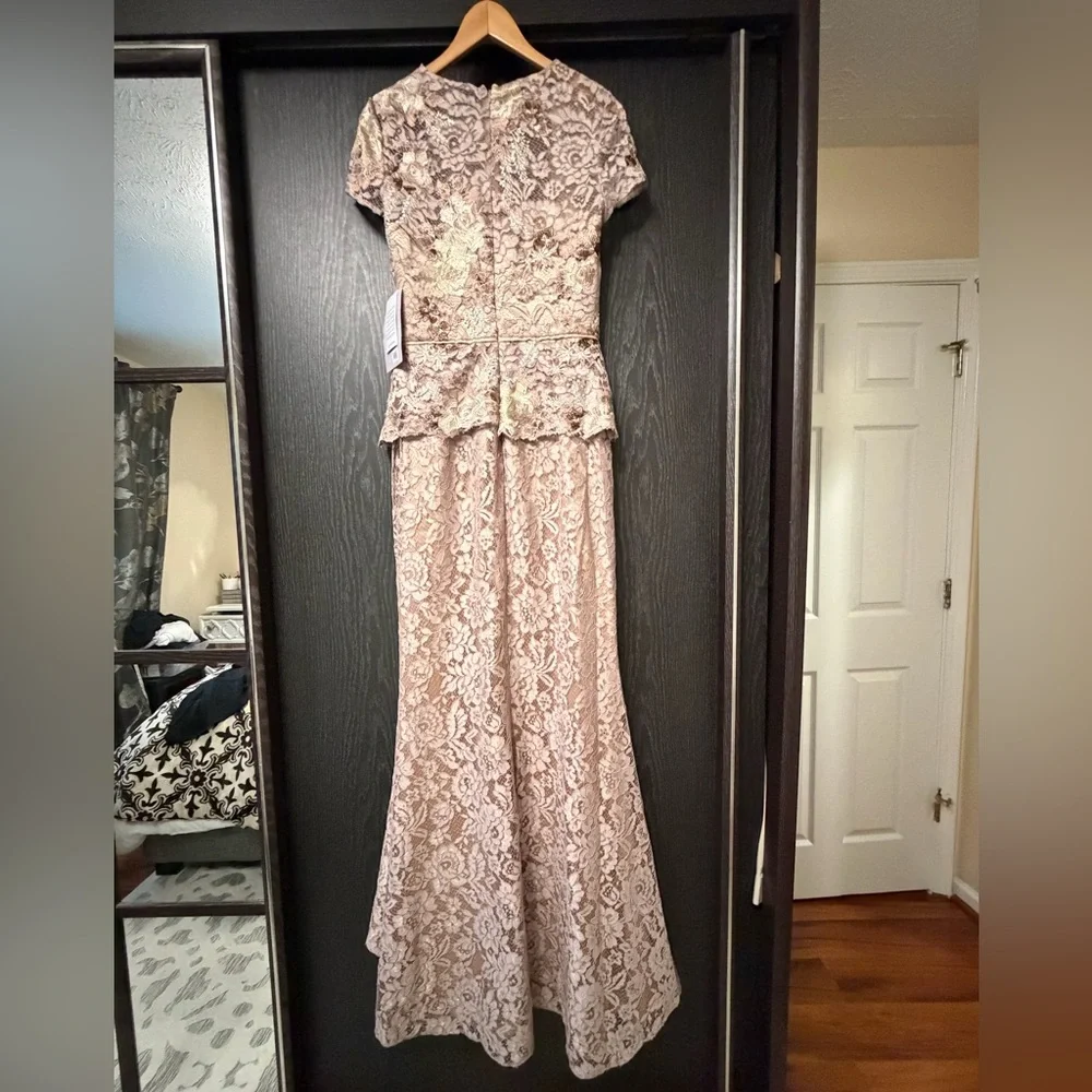 JS Collections Blush Color Lace Gown - Picture 6 of 16